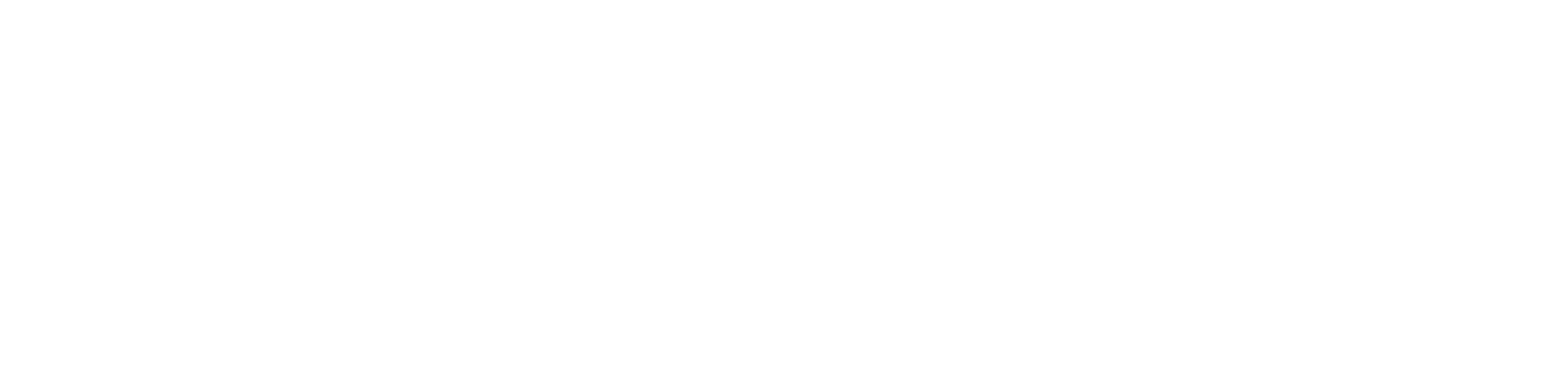 Tsogo Sun